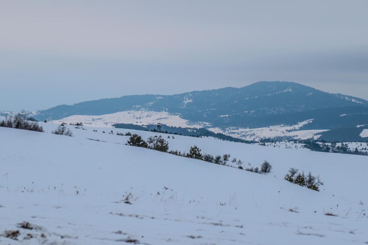 Hotel Dijamant Zlatibor Bagian luar foto